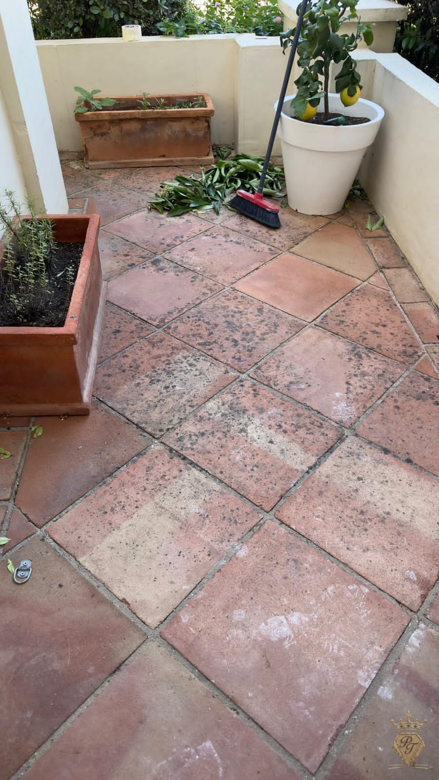 Terrasse avec pots de fleurs avant le traitement de la terre cuite
