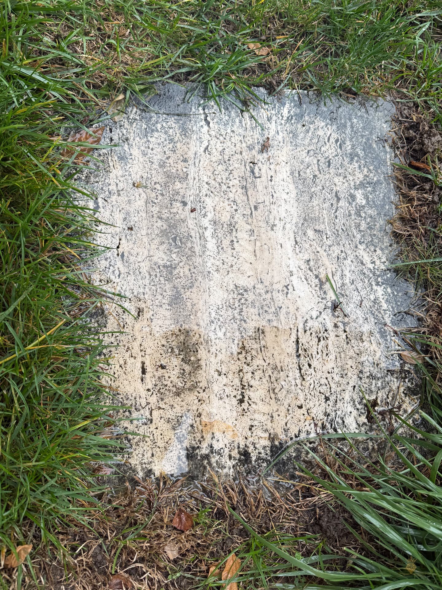 Dalle de travertin dans le jardin avant le nettoyage